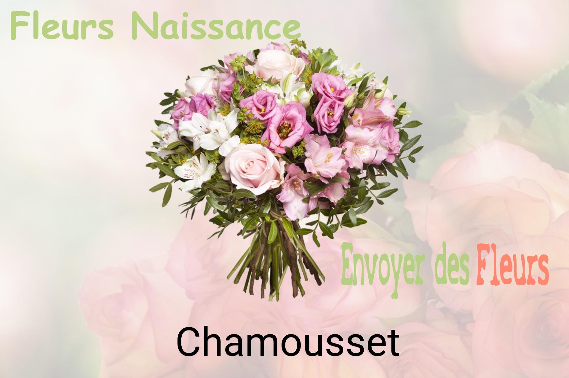 Bouquet de fleurs de naissance livré à Chamousset